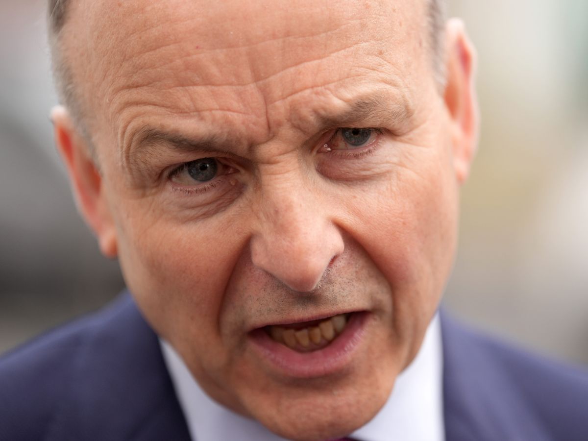 Martin warns over prospect of ‘extremely disruptive’ 50% US tariff on EU goods