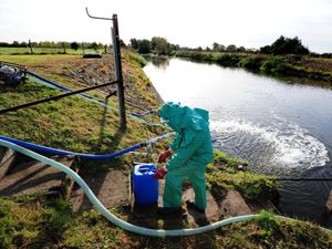 Supporting image for story: Local environmentalists ‘should sit on water firm boards to combat sewage dumps’