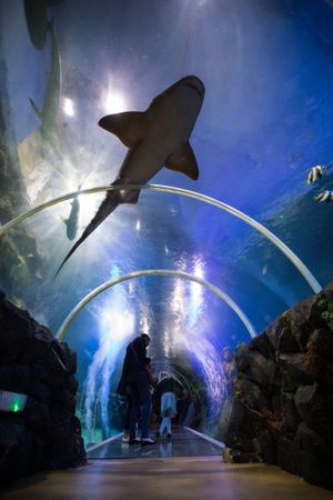 Supporting image for story