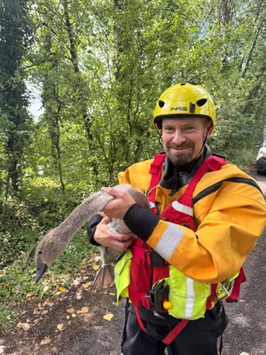 Telford firefighters at Trench Pool, where they were helping a young swan which had become trapped in wire. Photo: Shropshire Fire and Rescue 