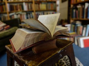 Supporting image for story