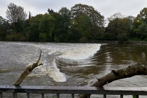 Flooding next to the cafe