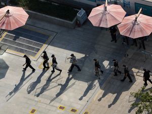 Supporting image for story: Chinese city kills three cats after they test positive for coronavirus