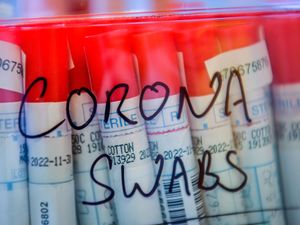 Supporting image for story