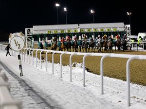 Supporting image for story: Cold weather takes its toll on Wolverhampton races