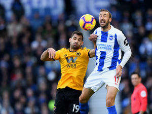Supporting image for story: Brighton 1 Wolves 0 – report and pictures