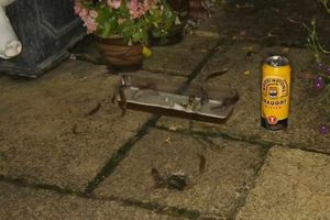 Cheers! It's time for a nice sip of beer.