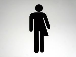 Supporting image for story: Review into safety of adult gender services to begin within weeks