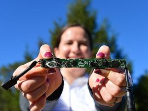 Supporting image for story