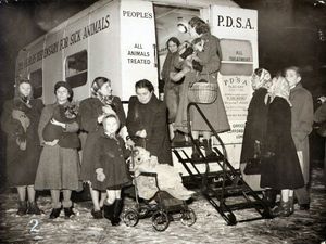 Supporting image for story: Telford-based PDSA's century of helping sick animals