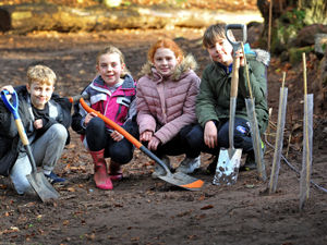 Supporting image for story: Woodland school is a tree-mendous success