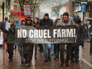 Supporting image for story: WATCH: Protesters march through Stafford town centre to oppose turkey farm plans