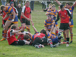 Supporting image for story: Rugby round-up - in pictures