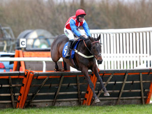 Supporting image for story: Soft ground no worry for Quinta