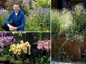 Supporting image for story: What to see, who will be there and what to buy: Our guide to Gardeners' World Live show