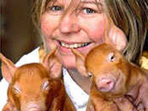 Supporting image for story: New arrivals at working farm