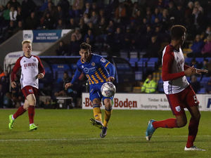 Supporting image for story: Shrewsbury Town 3 West Brom U21s 0 - Report and pictures