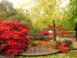 Supporting image for story: Japanese musicians to mark VJ Day 75th anniversary in Telford