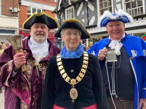 Supporting image for story: Woodworm crisis solved when Wellington's town crier got a handle on the issue