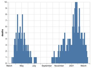 Supporting image for story: No further coronavirus deaths in Shropshire