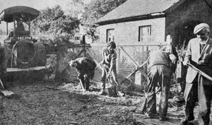 October 1970: 'Another stretch of Shropshire railway line has been closed down and pulled up. But this section is only about 15 feet long and most motorists who use the B4378 from Buildwas to Much Wenlock will be glad to see the back of it. It is part of the old Severn Valley line just upstream from Ironbridge Power Station. The old level crossing gates that protect it haven't been opened for years and only glimpse a train occasionally when a thundering diesel brings a line of coal trucks to the power station. Most of the track has already been pulled up but motorists have been forced to slow down and bump over the now useless lines. On Monday county council workmen set to work digging the remnants up and resurfacing the road.' 
