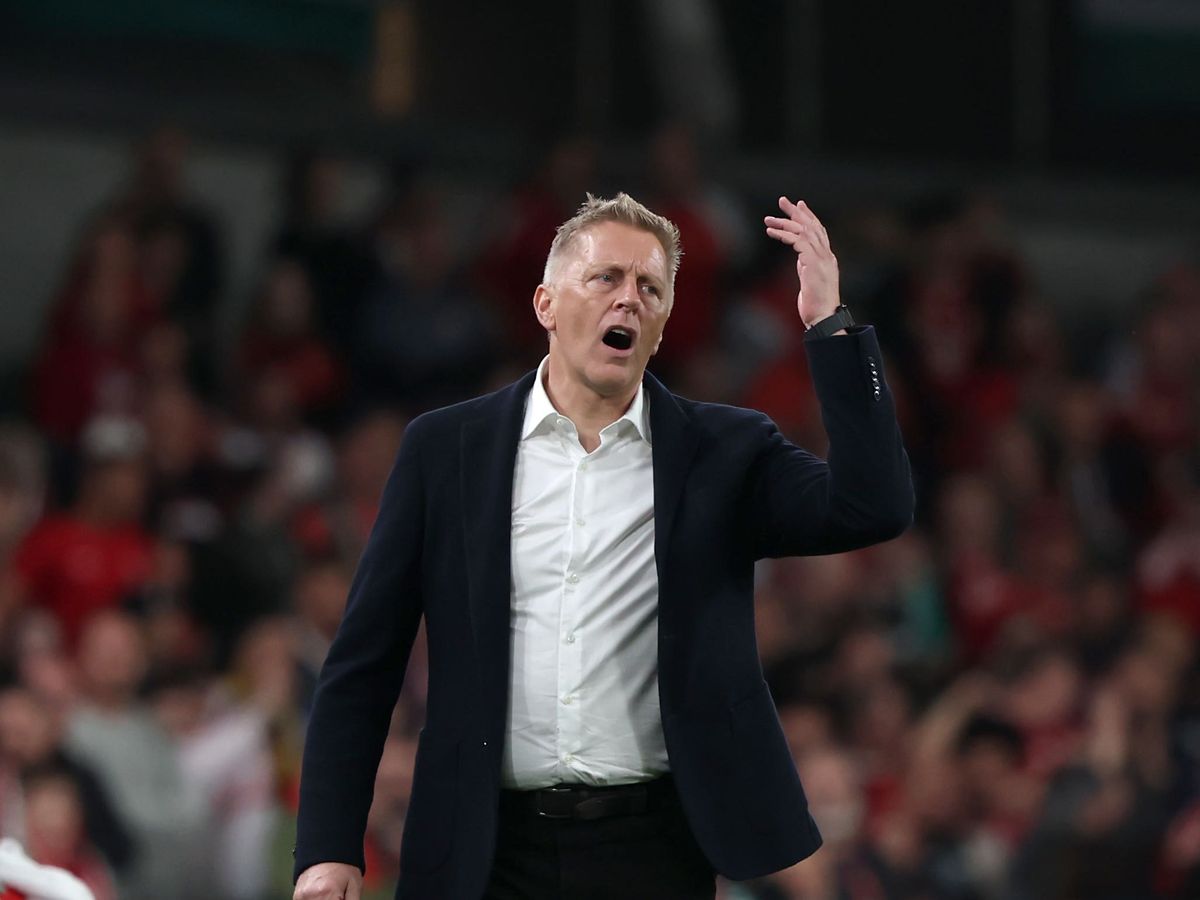 Heimir Hallgrimsson praises Ireland &lsquo;character&rsquo; after second-half fightback