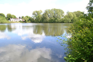 Supporting image for story