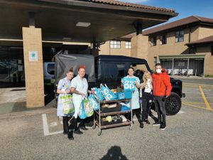 Supporting image for story: Cannon run organiser offers support to NHS workers