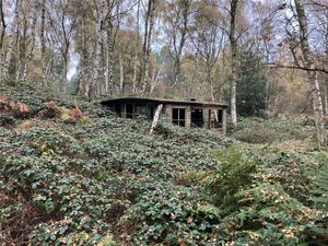 A derelict chalet in the centre of the plot. The woodland is for sale for £90,000. Picture: Rightmove/Berrys.