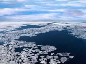 Supporting image for story: Heartbreaking footage shows the devastating effect climate change is having on polar bears