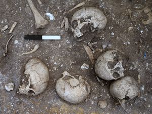 Supporting image for story: Cambridge students on training dig help unearth possible execution pit