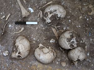 Supporting image for story: Cambridge students on training dig help unearth possible execution pit