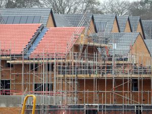 Supporting image for story: Call to put gardens at heart of housebuilding push for nature and climate