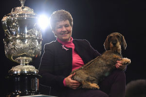 Maisie the Wire-haired Dachshund winner of Best in Show 2020 at the Birmingham National with her owner Kim McCalmont at the Exhibition Centre (NEC) during the Crufts Dog Show
