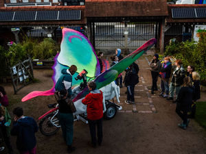 Supporting image for story: Giant bioluminescent moth lights up launch of environment programme