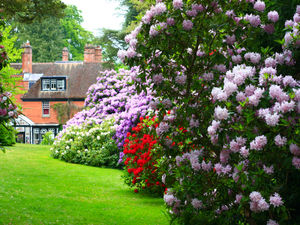 Supporting image for story: Gardens on county border in the running to be named best in the UK