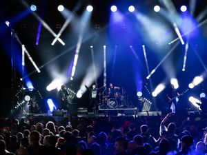 Supporting image for story: Festivals face devastating consequences unless ministers insure event risk – MPs