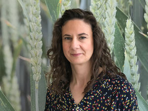 Supporting image for story: Food – a fact of life returns to the classroom