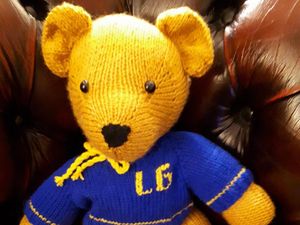 Supporting image for story: Housebuilder teams up with Telford primary school for coronavirus teddy bear project 