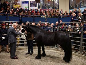 Supporting image for story: Charles reminded of his mother’s beloved horse during visit to Clitheroe