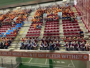 Fans can buy a seat in Alan's replica Villa Park and he will then add a figure designed to look like them, with the money going to charity Do It For Defib.