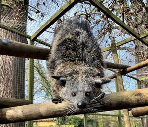 Drayton Manor Resort Zoo