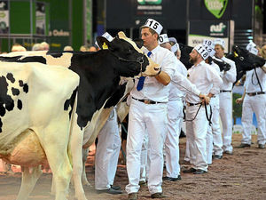 Supporting image for story: National dairy exhibition booked in to Telford for four years