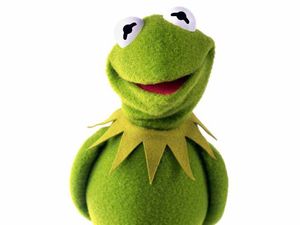 Supporting image for story: The frog speaks