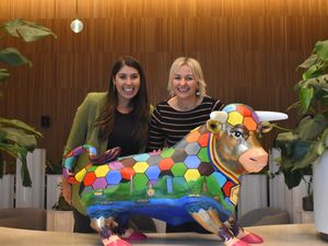 Supporting image for story: United By 2022 announces Future Faces charity partnership