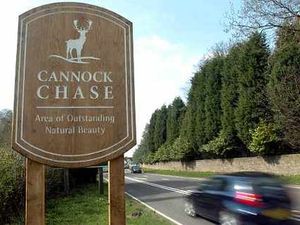 Supporting image for story: Police vow to drive out dogging on Cannock Chase