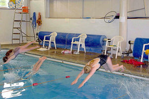 Supporting image for story: Future of threatened Ellesmere swimming pool to be decided