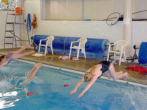 Supporting image for story: Future of threatened Ellesmere swimming pool to be decided