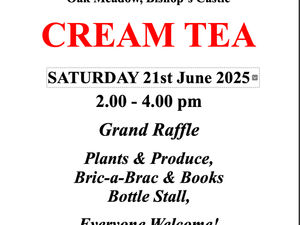 Supporting image for story: Invitation to cream tea in Bishop's Castle