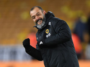 Supporting image for story: Nuno: Wolves bonding with fun in the sun
